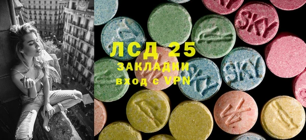 PSILOCYBIN Верхний Тагил