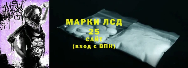 PSILOCYBIN Верхний Тагил