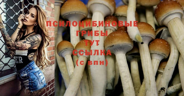 apvp Верея