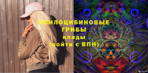 PSILOCYBIN Верхний Тагил