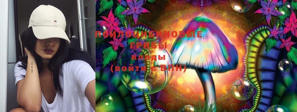 PSILOCYBIN Верхний Тагил